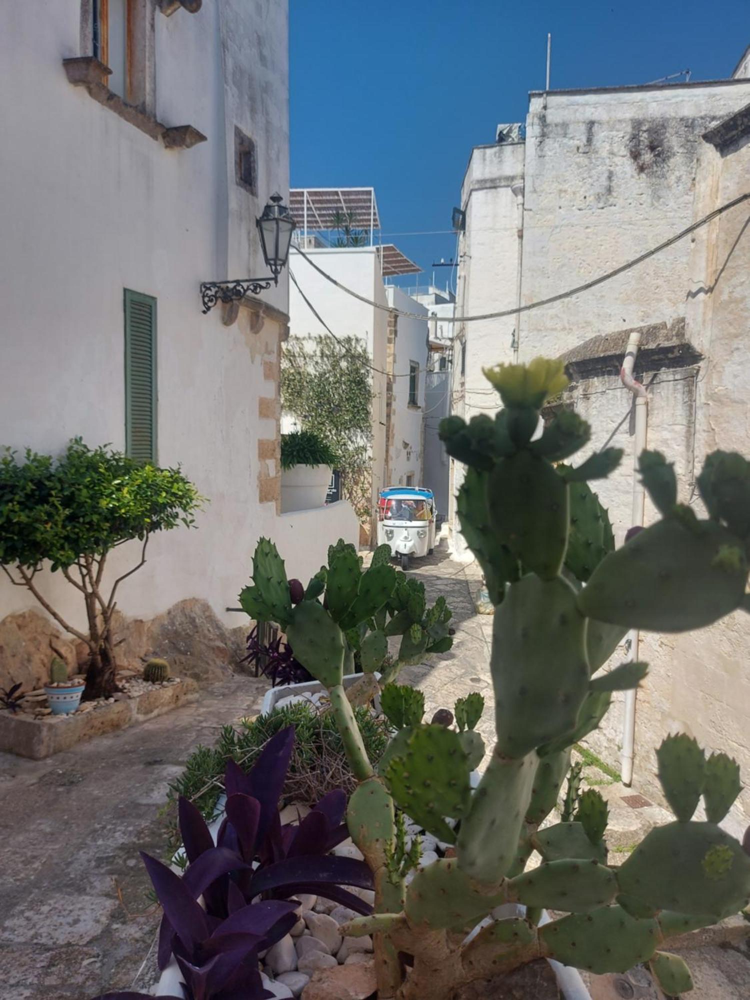 Antica Dimora Flale Apartment Ostuni Exterior photo